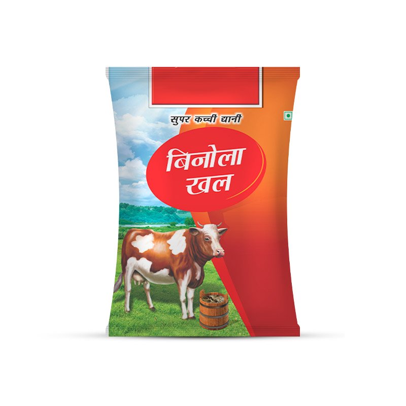 Cattle 1