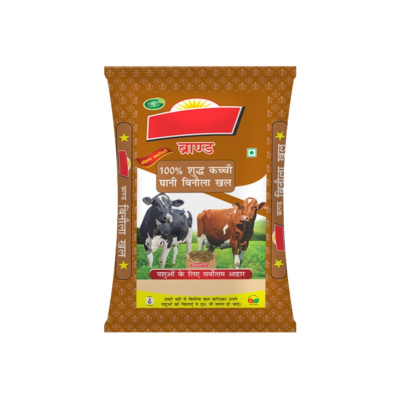 Cattle 6