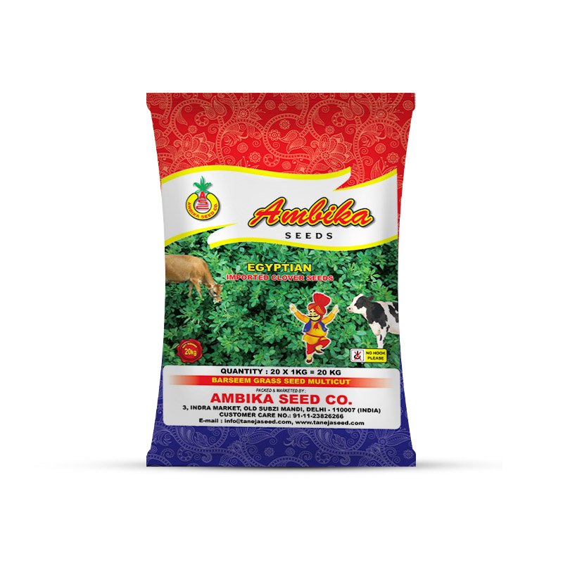 Ambika Seeds 1