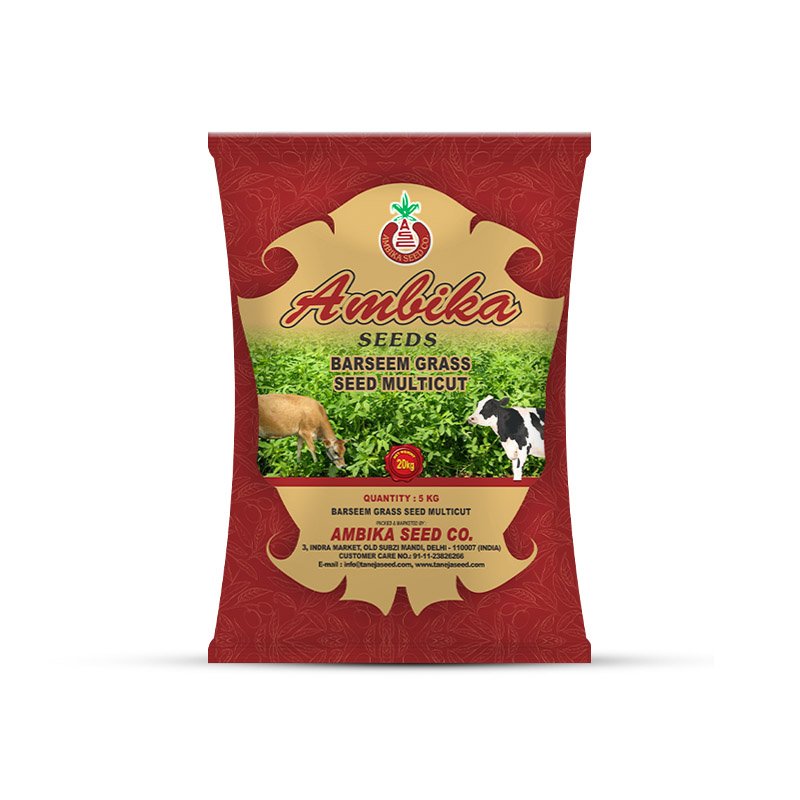 Ambika Seeds 2