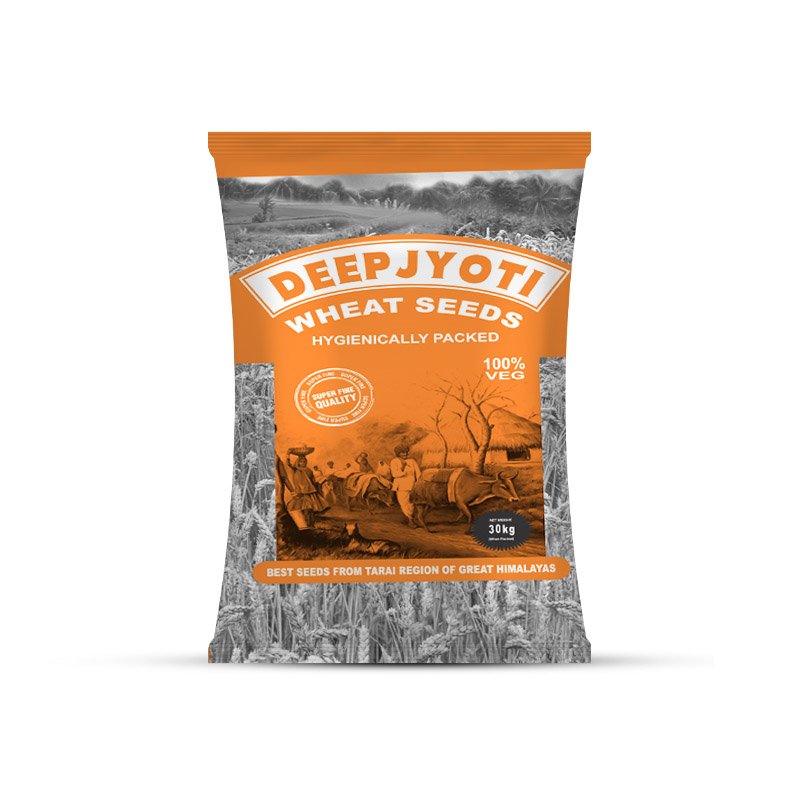 Deepjyoti Wheat seeds 1