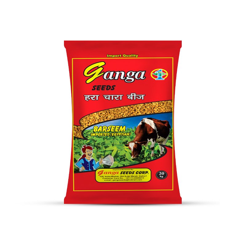 Ganga Seeds CTC (1)