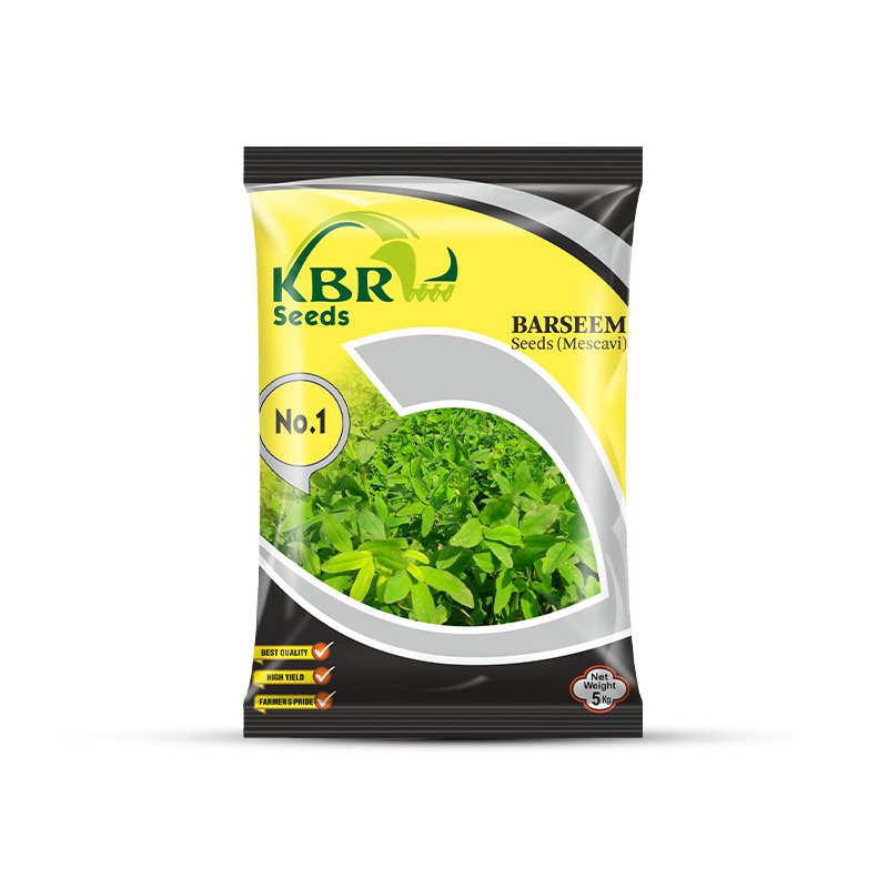 KBR Barseem Seeds