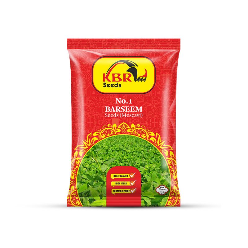 KBR Barseem Seeds