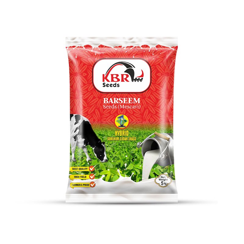 KBR Barseem Seeds