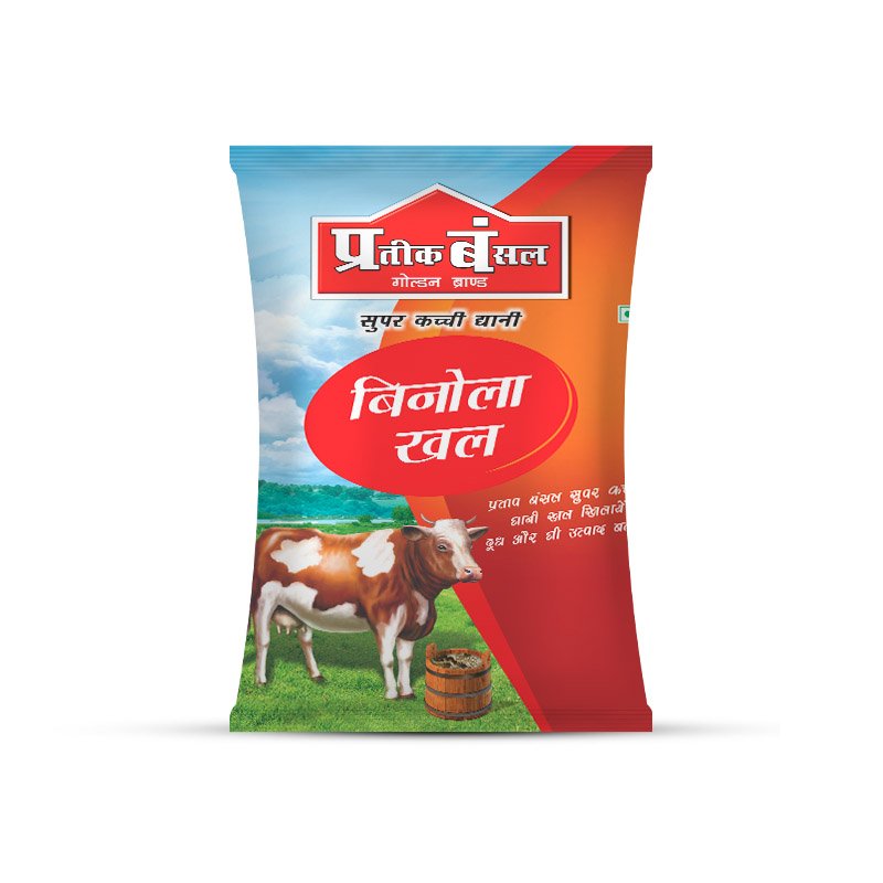 Partik Bansal