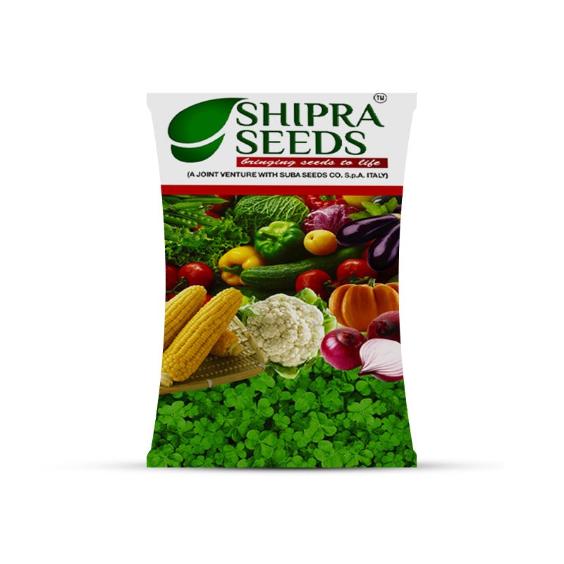 Shipra Seeds
