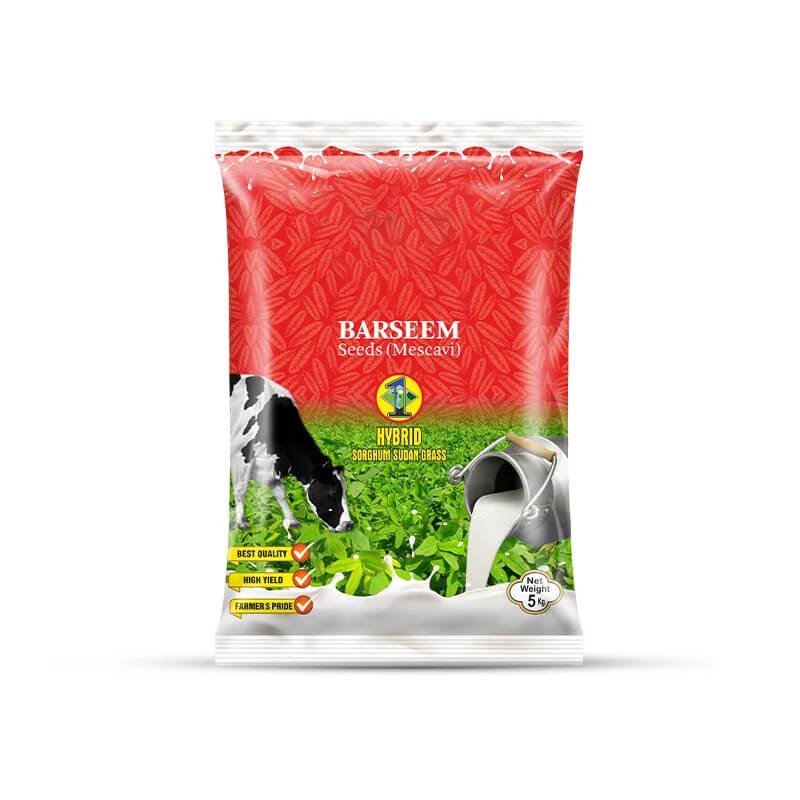 KBR Barseem Seeds