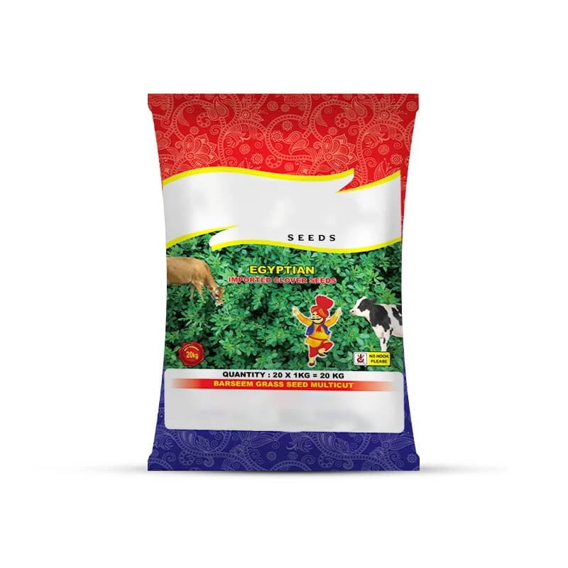 Ambika Seeds 1