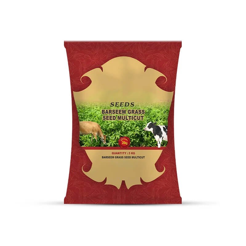 Ambika Seeds 2